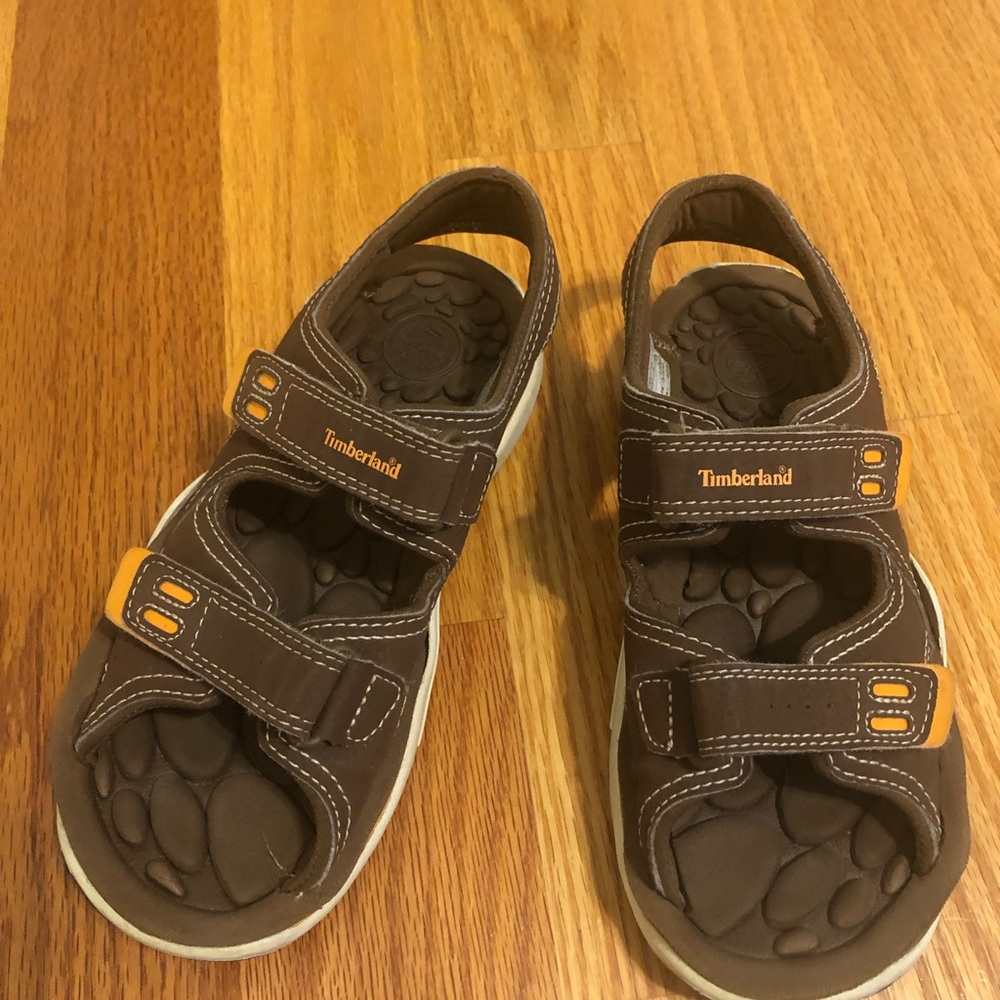 Timberland Adventure Seeker Sandal (Boys Preschool)